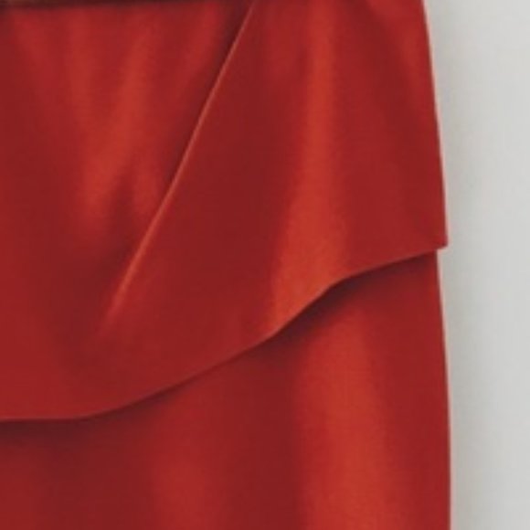 CAbi Burnt Orange Overlay Pencil Skirt sz 4 - Picture 4 of 9
